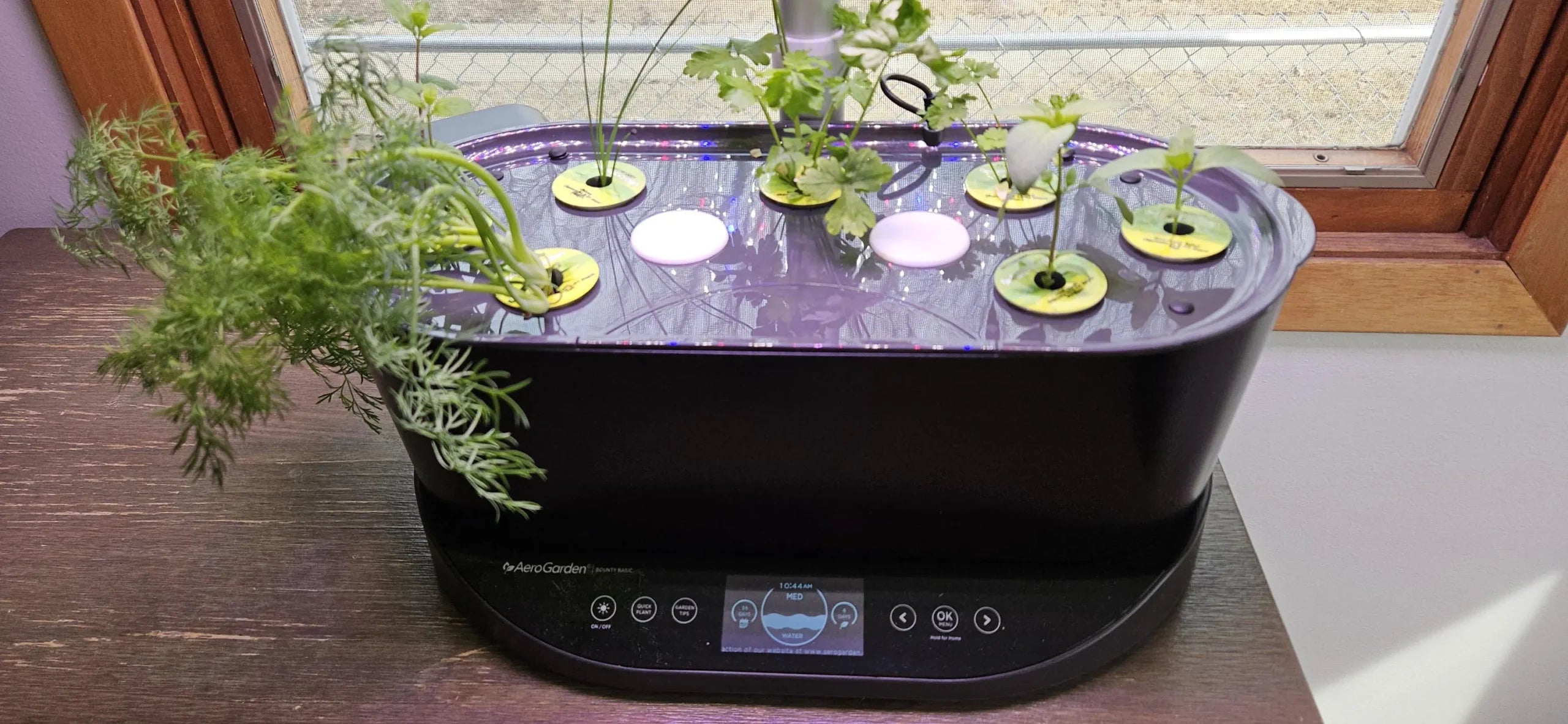 Aerogarden Lid Hole Caps set of 4. image 0