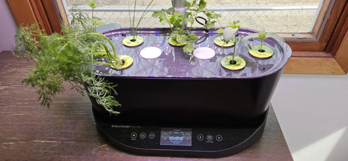 Aerogarden Lid Hole Caps set of 4. image 0